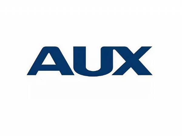 AUX1